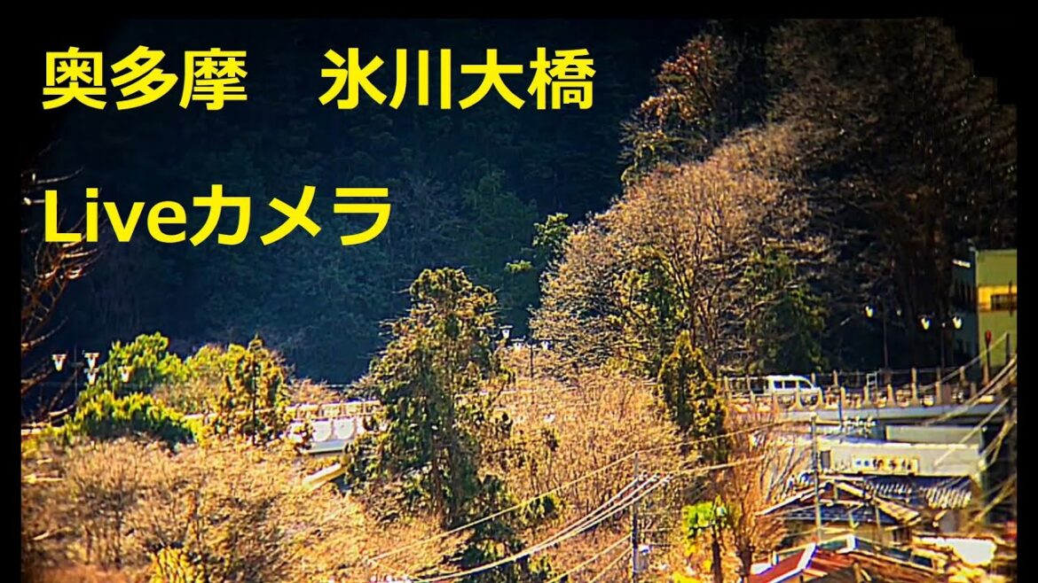 【LIVE】奥多摩　氷川大橋（氷川渓谷）ライブカメラ/tokyo okutama-hikawa-bridge Live Camera　左下緑のボタンをクリックすると他のLive動画配信しております。